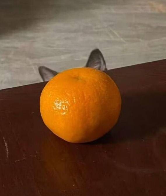 3DM����һ�̵�1630�� ���Ǻ�˿��Ů�ǿ������