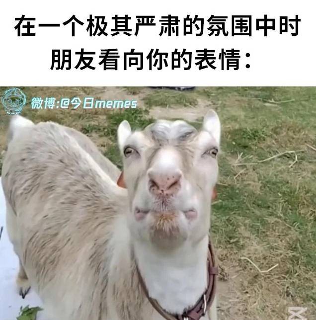 3DM����һ�̵�1630�� ���Ǻ�˿��Ů�ǿ������