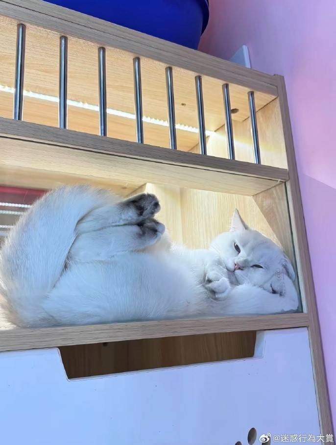 3DM����һ�̵�1631�� �ҳ��������ձ��¿�ˮ��