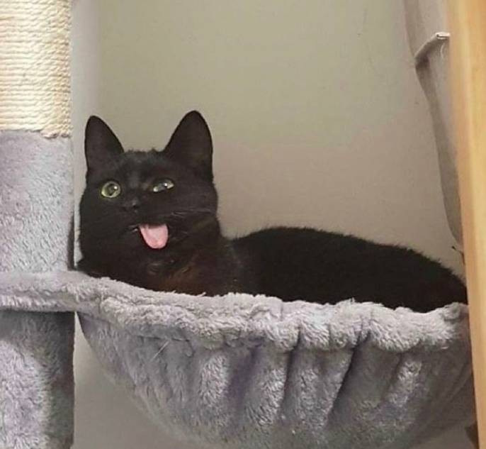 3DM����һ�̵�1632�� ����ʲô�������ĵ��º���