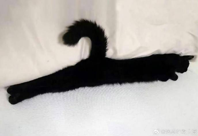 3DM����һ�̵�1632�� ����ʲô�������ĵ��º���