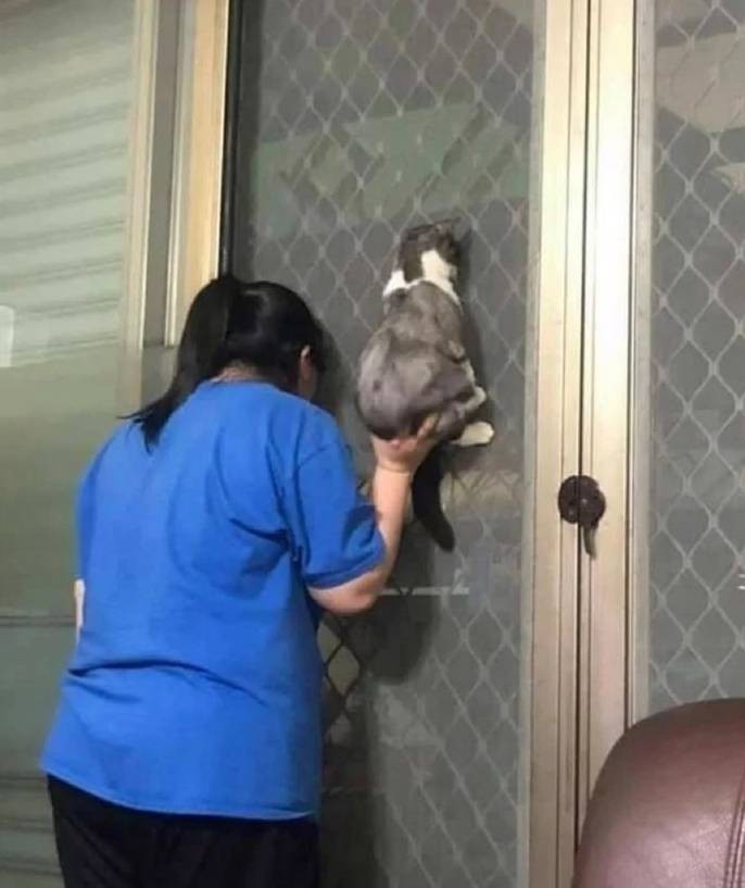 3DM����һ�̵�1632�� ����ʲô�������ĵ��º���