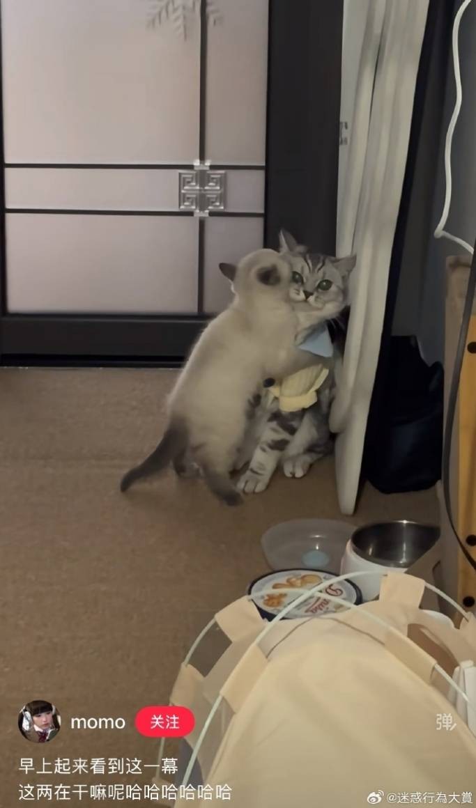 3DM����һ�̵�1632�� ����ʲô�������ĵ��º���