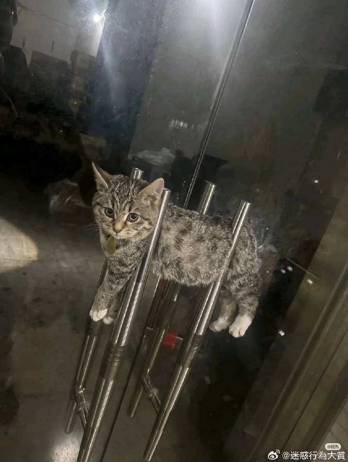 3DM����һ�̵�1632�� ����ʲô�������ĵ��º���