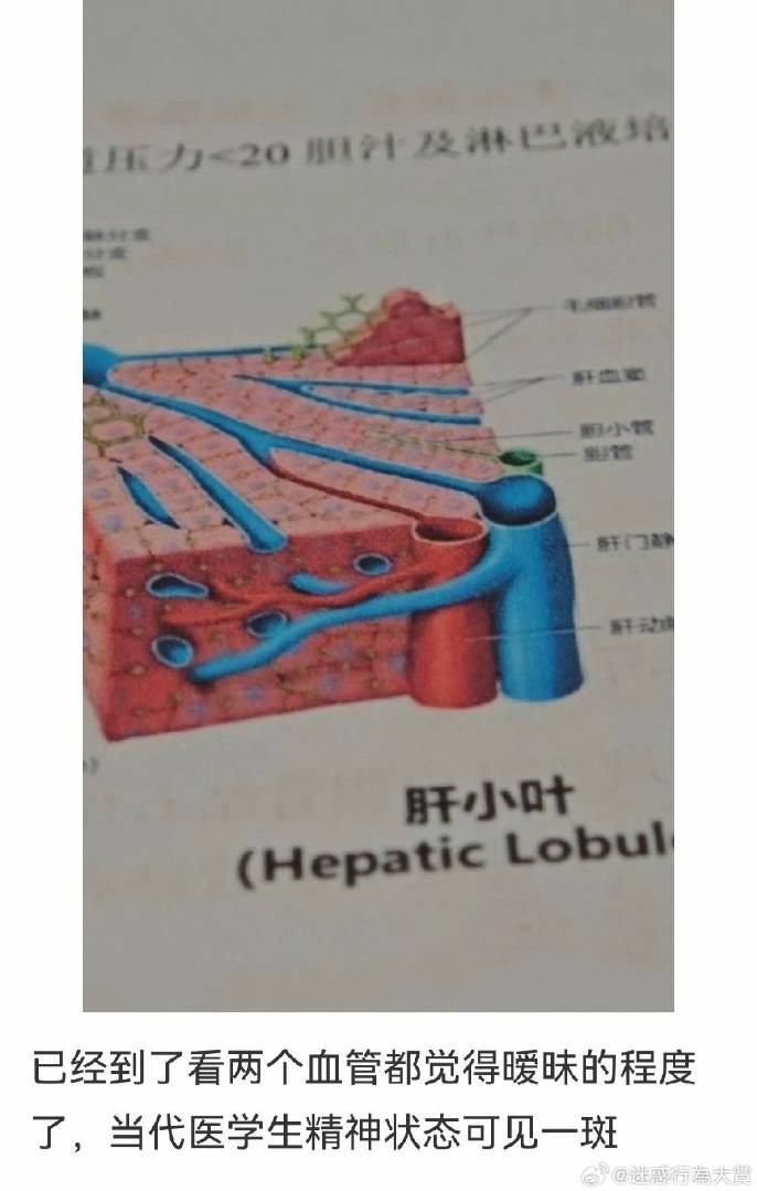 3DM����һ�̵�1632�� ����ʲô�������ĵ��º���