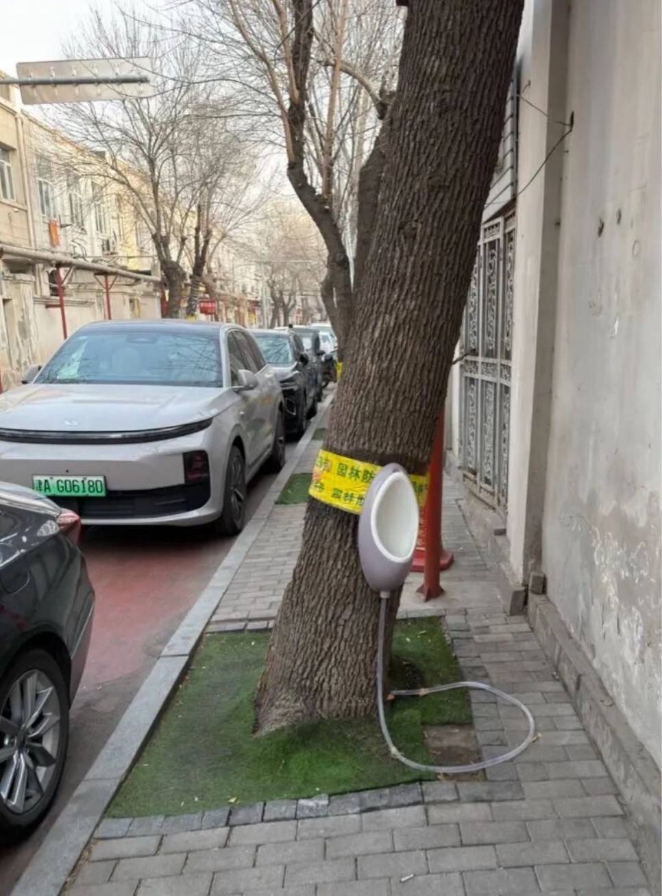 ���帣����ͼ�Ʒ�ϵ�� ˭����Ů�������ĺ�������