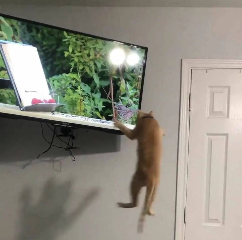 ���帣����ͼ�Ʒ�ϵ�� ˭����Ů�������ĺ�������