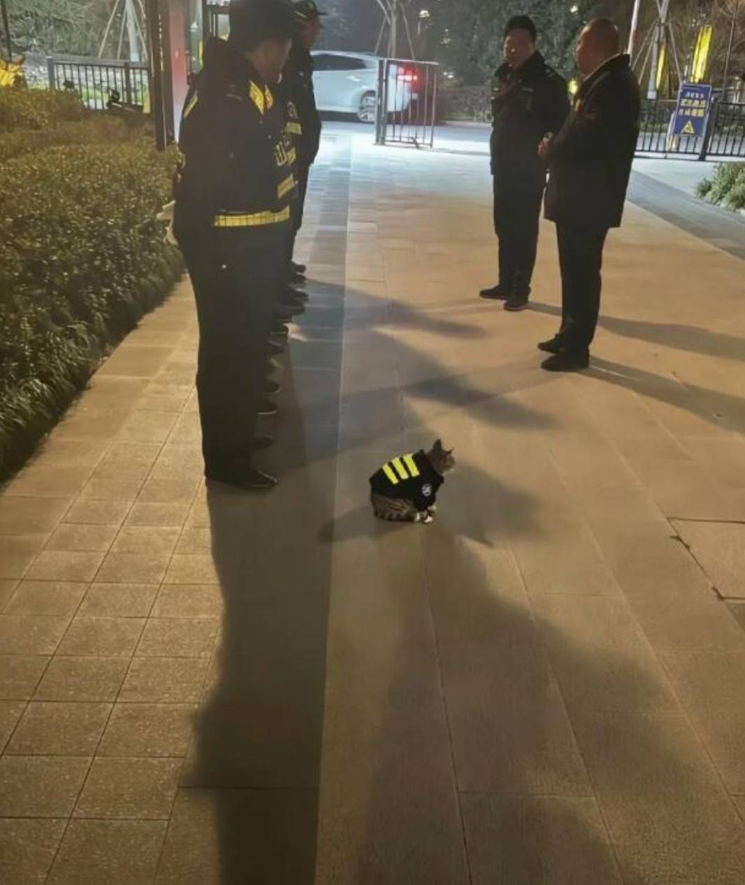 ���帣����ͼ�Ʒ�ϵ�� ˭����Ů�������ĺ�������