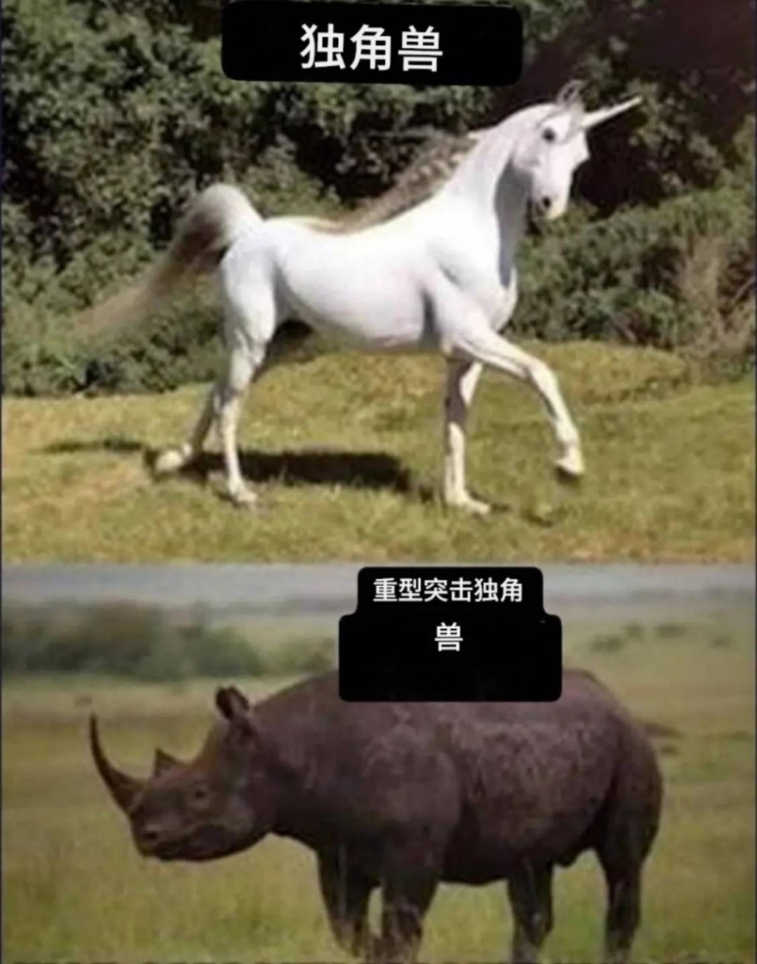 ���帣����ͼ�Ʒ�ϵ�� ˭����Ů�������ĺ�������