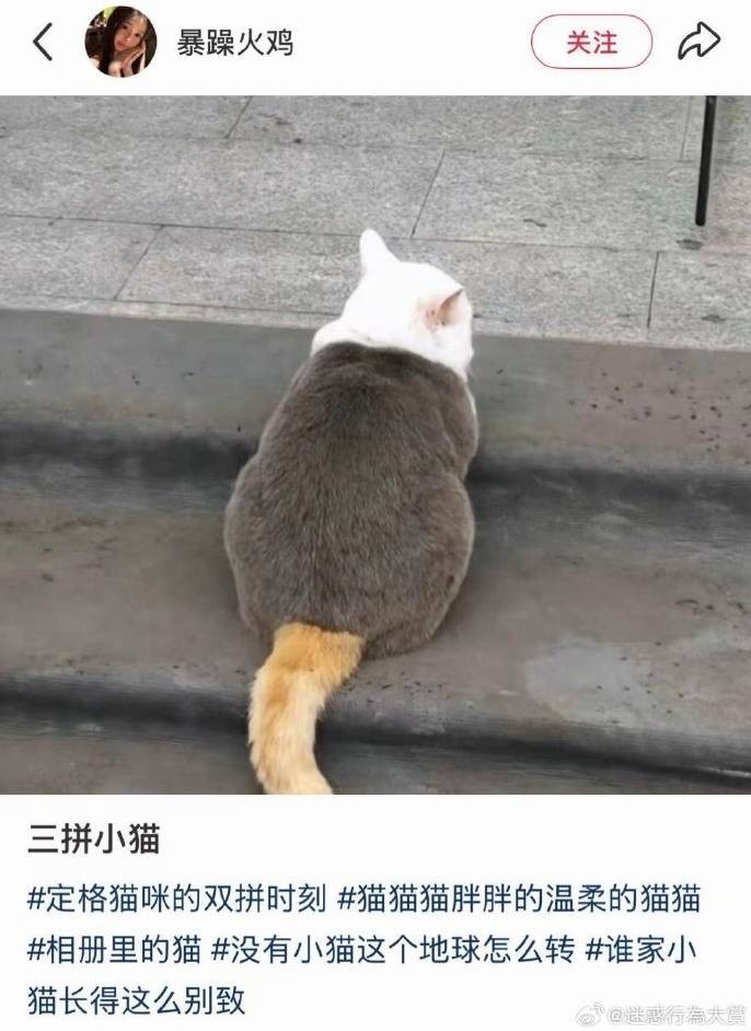 3DM����һ�̵�1633�� ��Ů�㻵�������һ����۵�