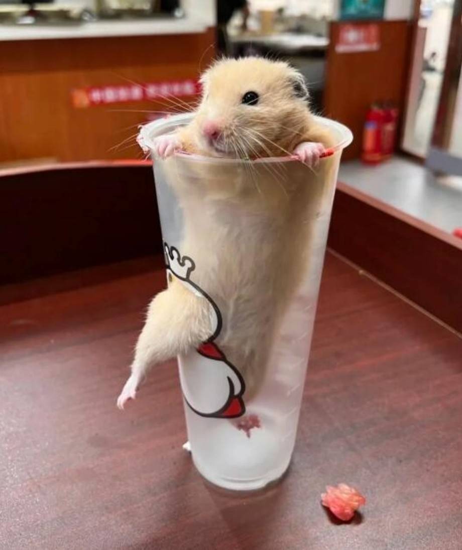 ��һ�ں���ͼ�Ʒ�ϵ�� ��Ů������ô����ôϸ��