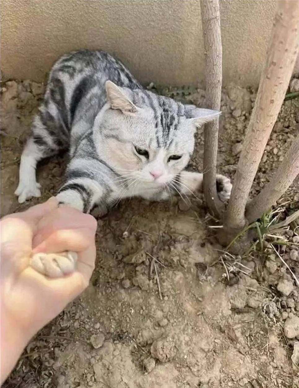 ��һ�ں���ͼ�Ʒ�ϵ�� ��Ů������ô����ôϸ��