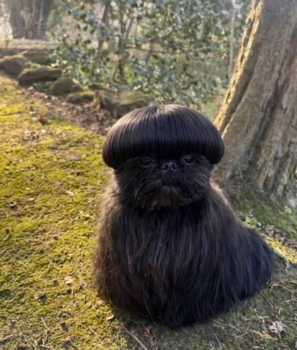 ��һ�ں���ͼ�Ʒ�ϵ�� ��Ů������ô����ôϸ��