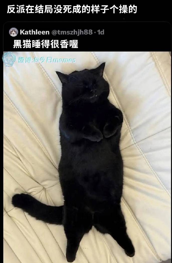 3DM����һ�̵�1634�� �������ϰ����е���Ӫ����