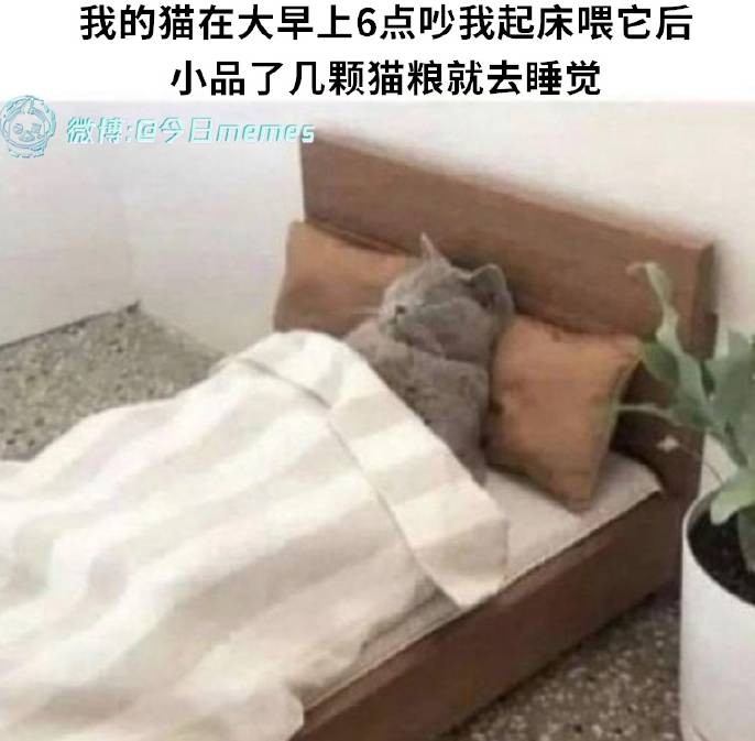 3DM����һ�̵�1634�� �������ϰ����е���Ӫ����