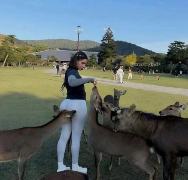 3DM����һ�̵�1634�� �������ϰ����е���Ӫ����