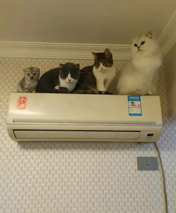 3DM����һ�̵�1635�� һ��Ů��Ӳ�ǿ��������˺�