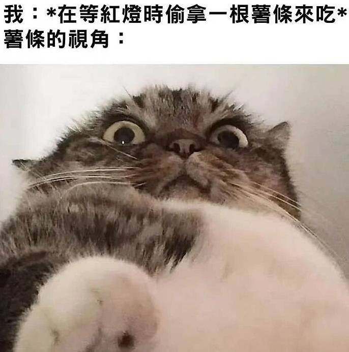 3DM����һ�̵�1636�� �ֵ��������������̾��