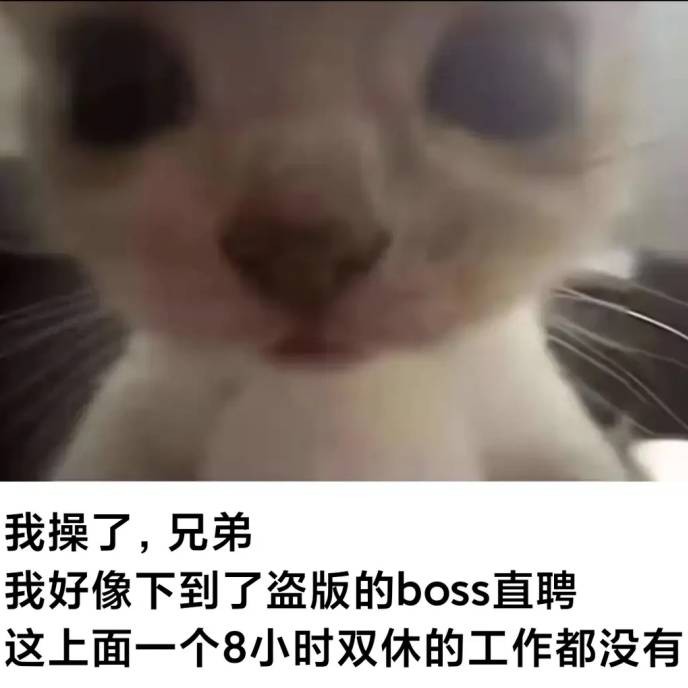 3DM����һ�̵�1636�� �ֵ��������������̾��