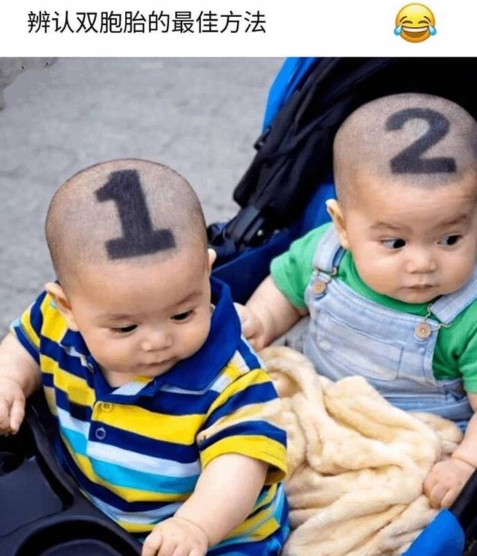 3DM����һ�̵�1637�� ���������о��Լ���ɧ��