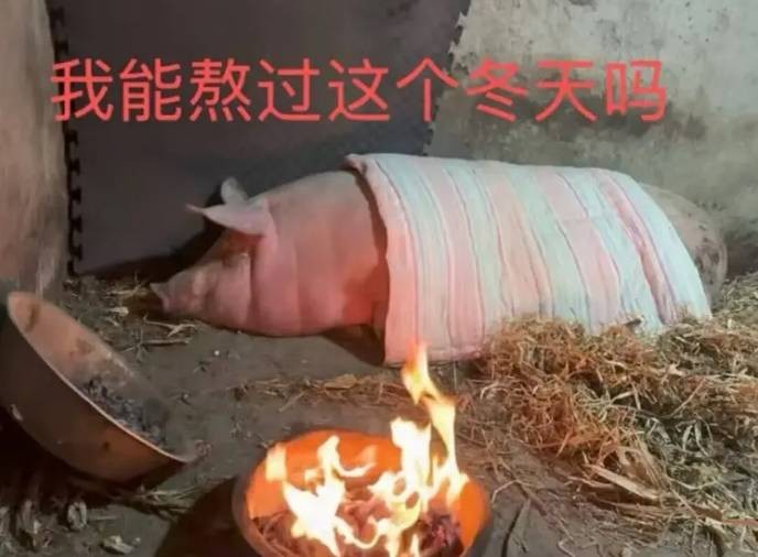 3DM����һ�̵�1637�� ���������о��Լ���ɧ��