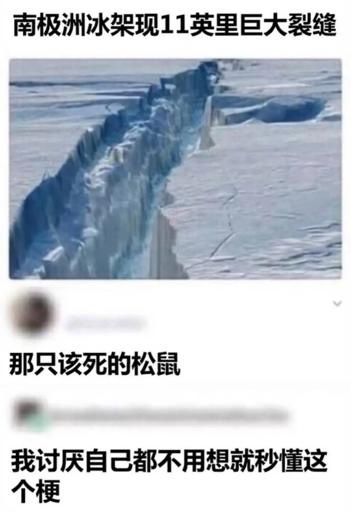 3DM����һ�̵�1637�� ���������о��Լ���ɧ��