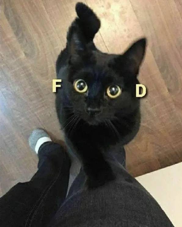 3DM����һ�̵�1637�� ���������о��Լ���ɧ��