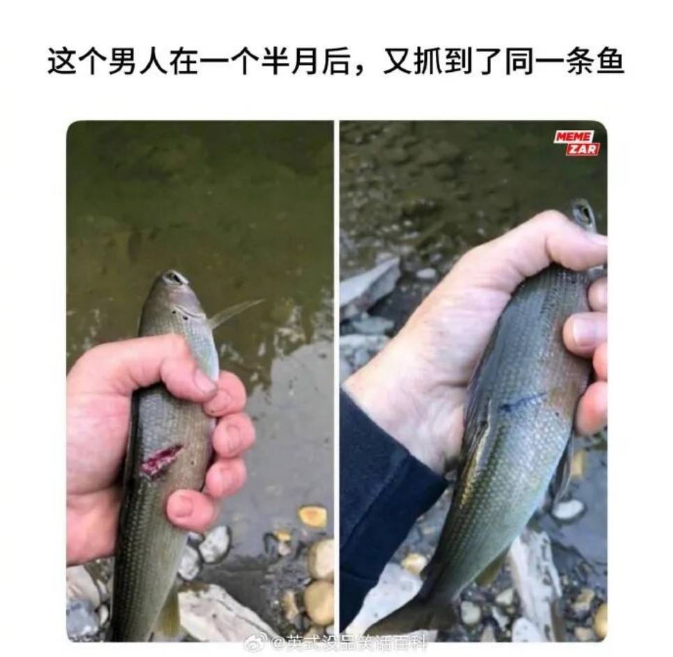 ���帣����ͼ�Ʒ�ϵ�� ��¶���ӵĽ�㶼�����ĺ�