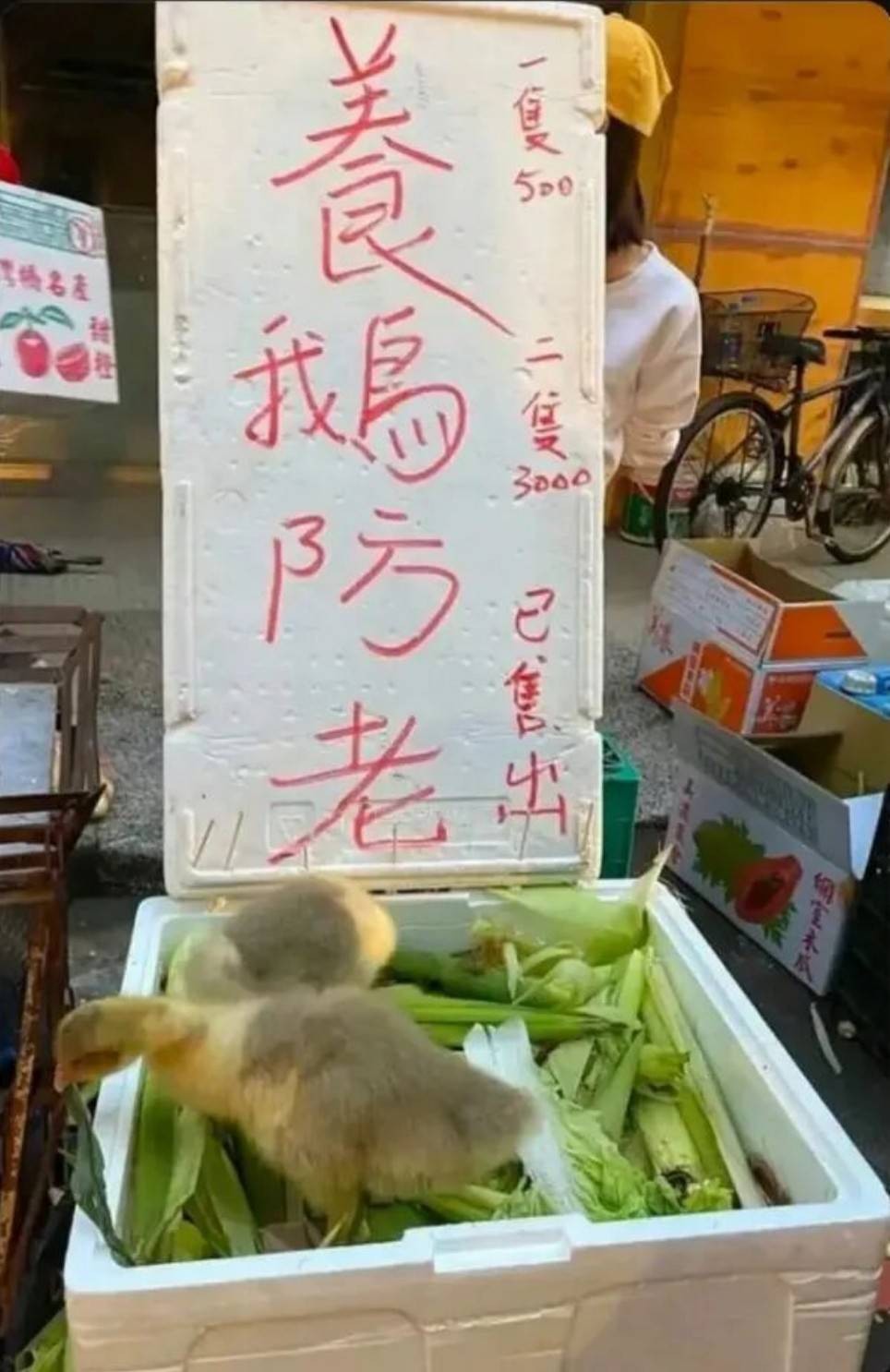 ���帣����ͼ�Ʒ�ϵ�� ��¶���ӵĽ�㶼�����ĺ�