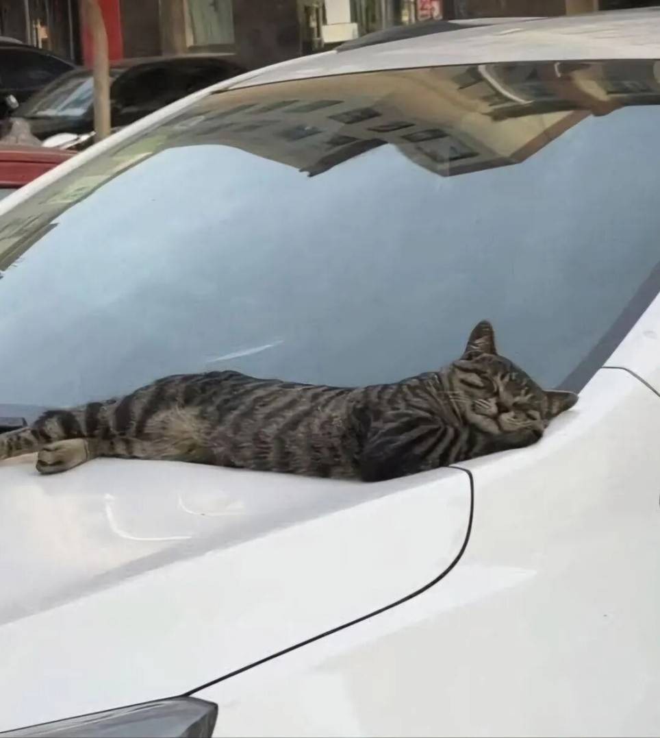 ���帣����ͼ�Ʒ�ϵ�� ��¶���ӵĽ�㶼�����ĺ�