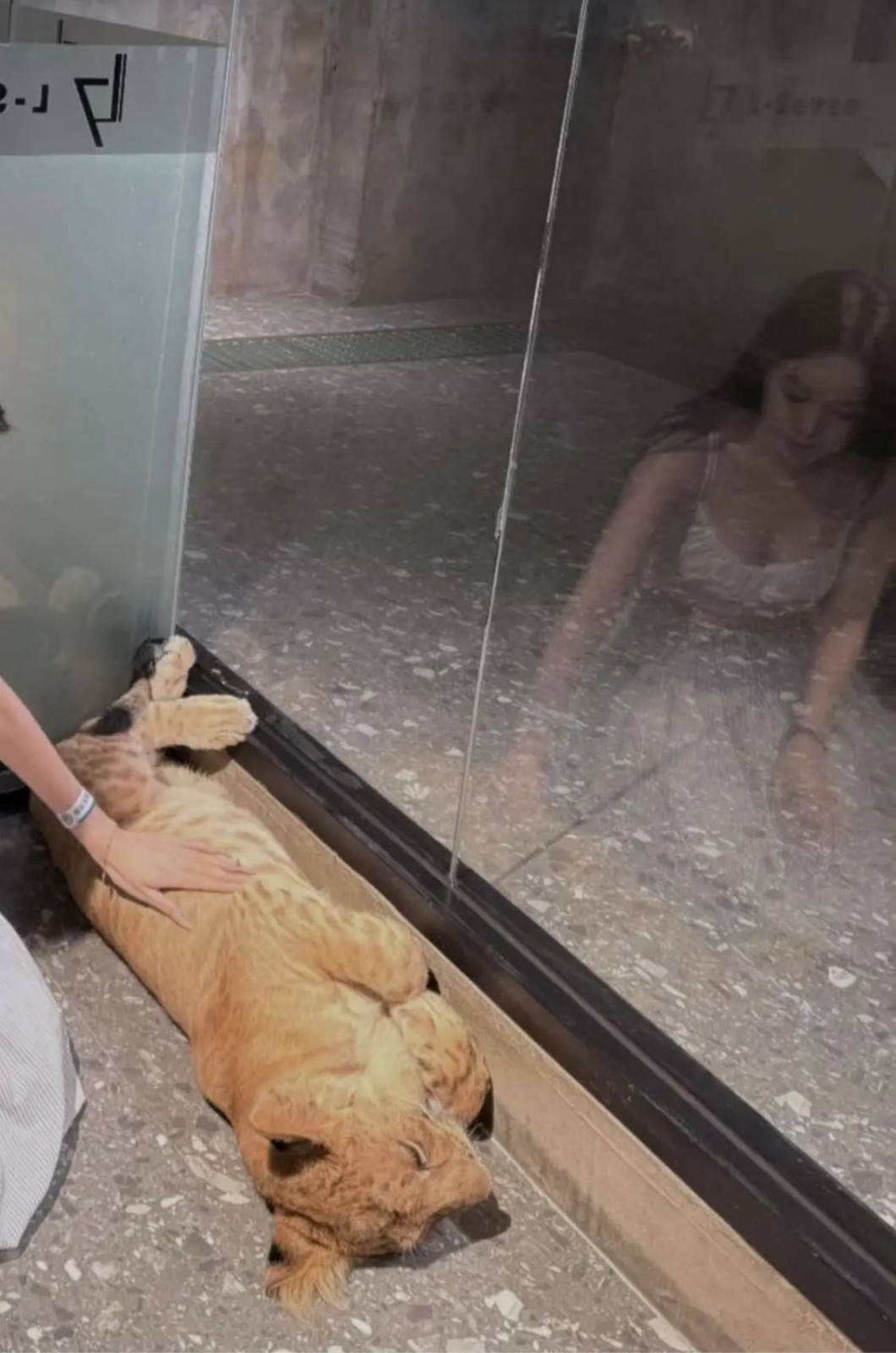 ���帣����ͼ�Ʒ�ϵ�� ��¶���ӵĽ�㶼�����ĺ�