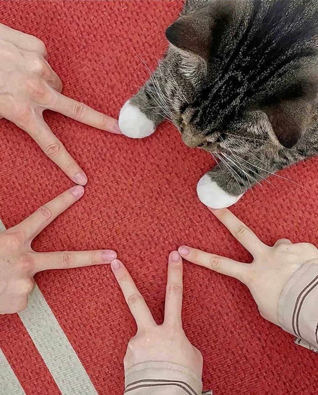 3DM����һ�̵�1638�� ���ӵ�����ô��ôϸ����