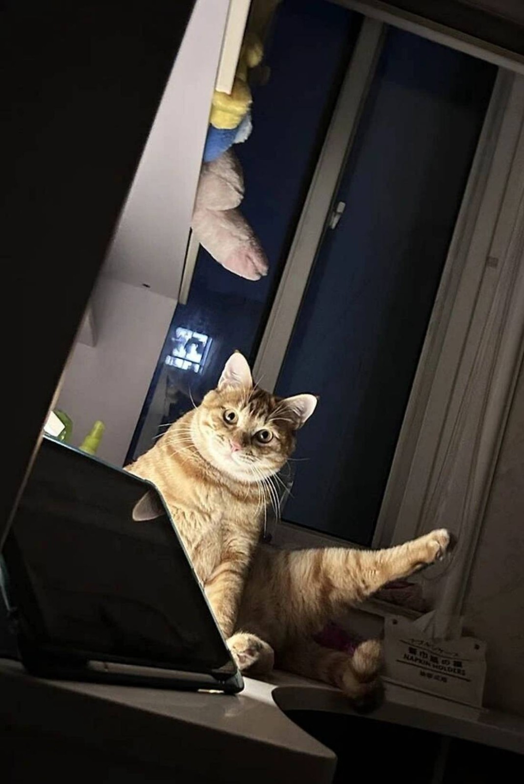 3DM����һ�̵�1638�� ���ӵ�����ô��ôϸ����