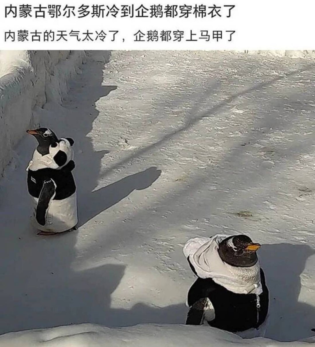 3DM����һ�̵�1638�� ���ӵ�����ô��ôϸ����