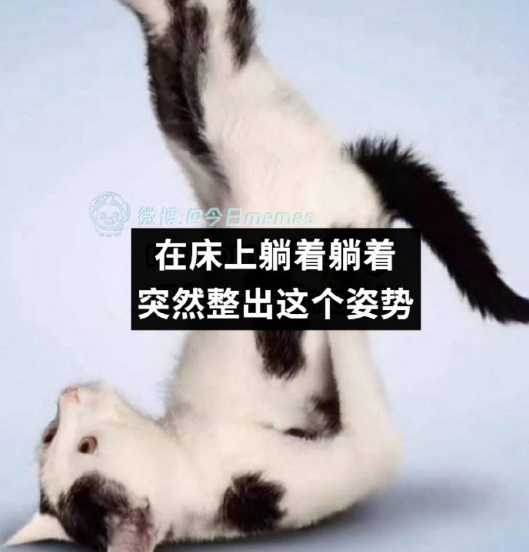 3DM����һ�̵�1638�� ���ӵ�����ô��ôϸ����