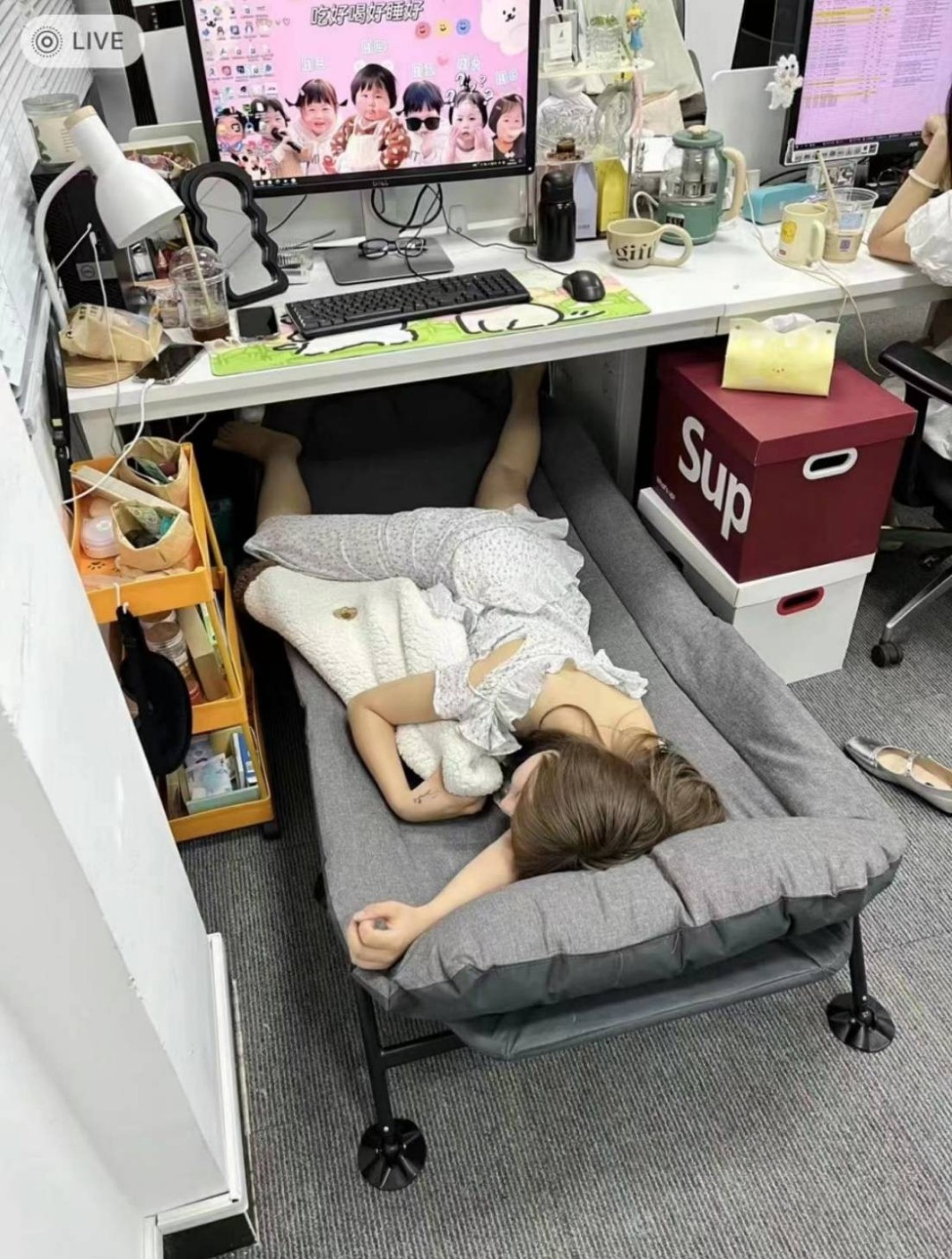 3DM����һ�̵�1638�� ���ӵ�����ô��ôϸ����