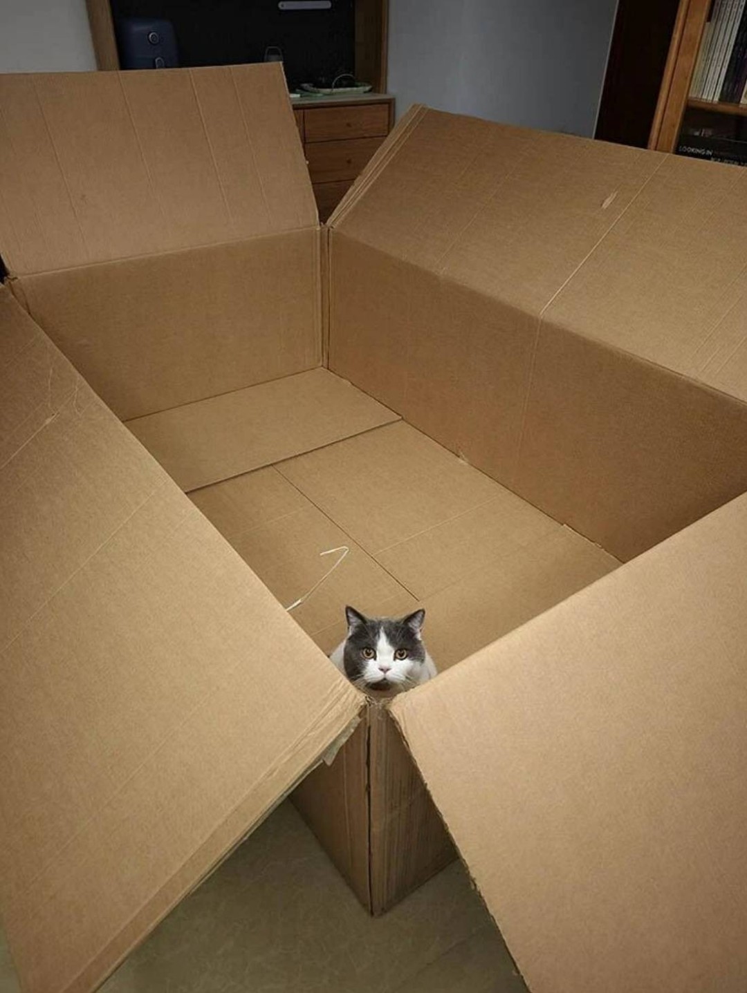 3DM轻松一刻第1639期 泳装美女肤白貌美吸引人