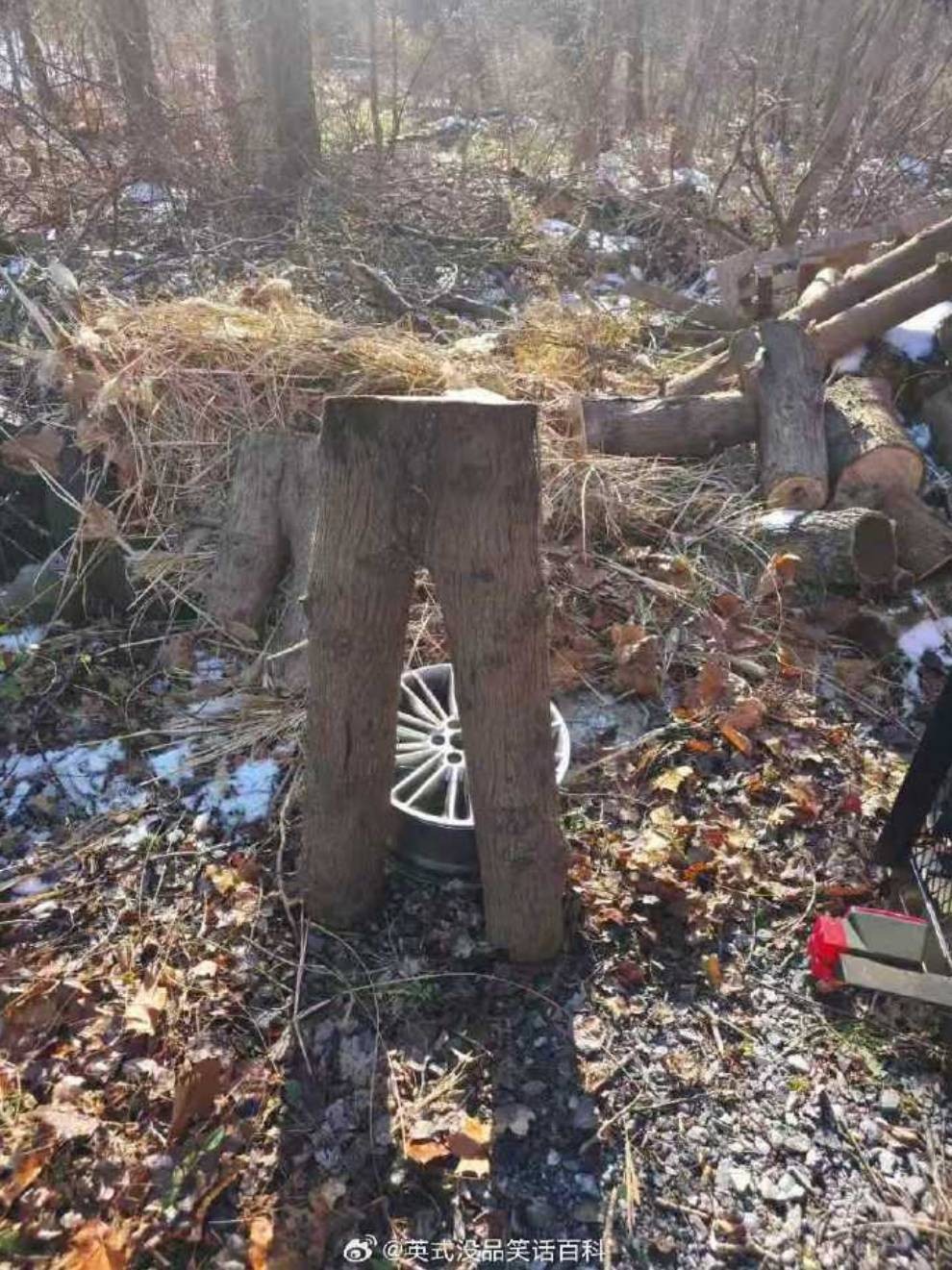 3DM����һ�̵�1639�� Ӿװ��Ů����ò��������