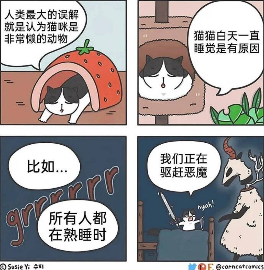 3DM����һ�̵�1639�� Ӿװ��Ů����ò��������