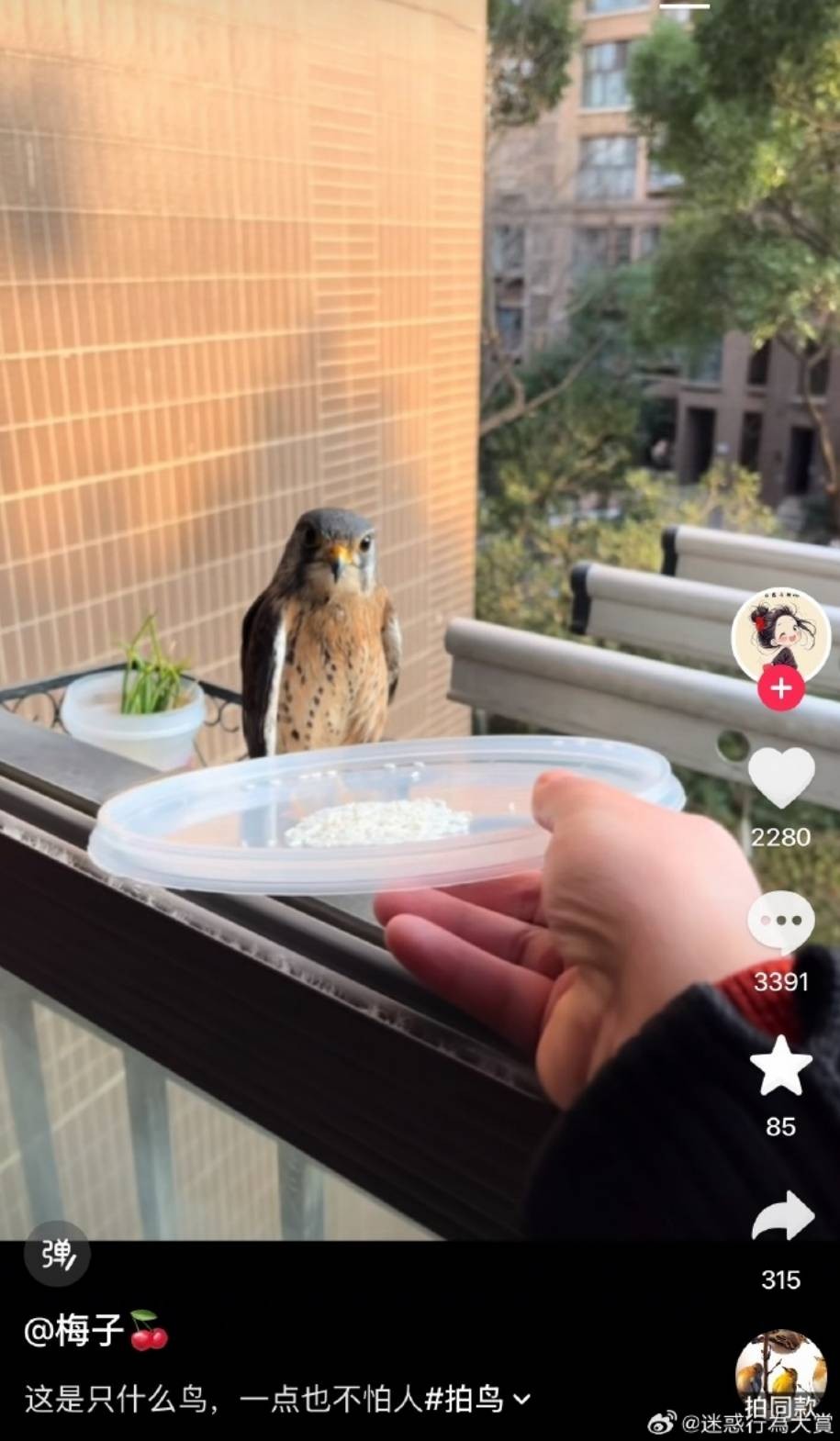 3DM����һ�̵�1639�� Ӿװ��Ů����ò��������