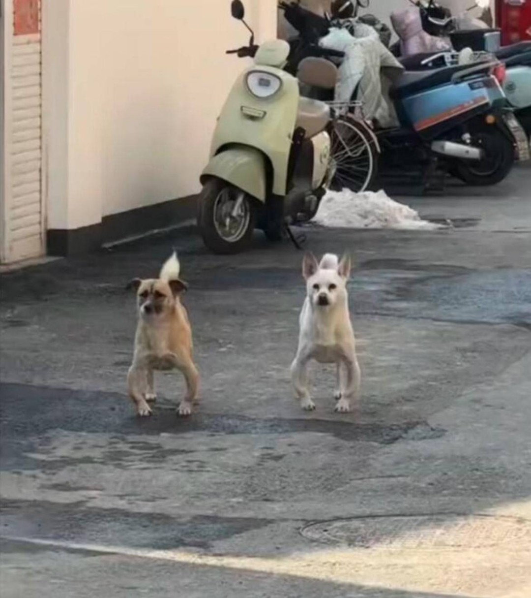 ��һ�ں���ͼ�Ʒ�ϵ�� Ů��������ʲôϷ��ô�ң�