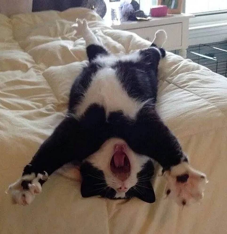 ��һ�ں���ͼ�Ʒ�ϵ�� Ů��������ʲôϷ��ô�ң�