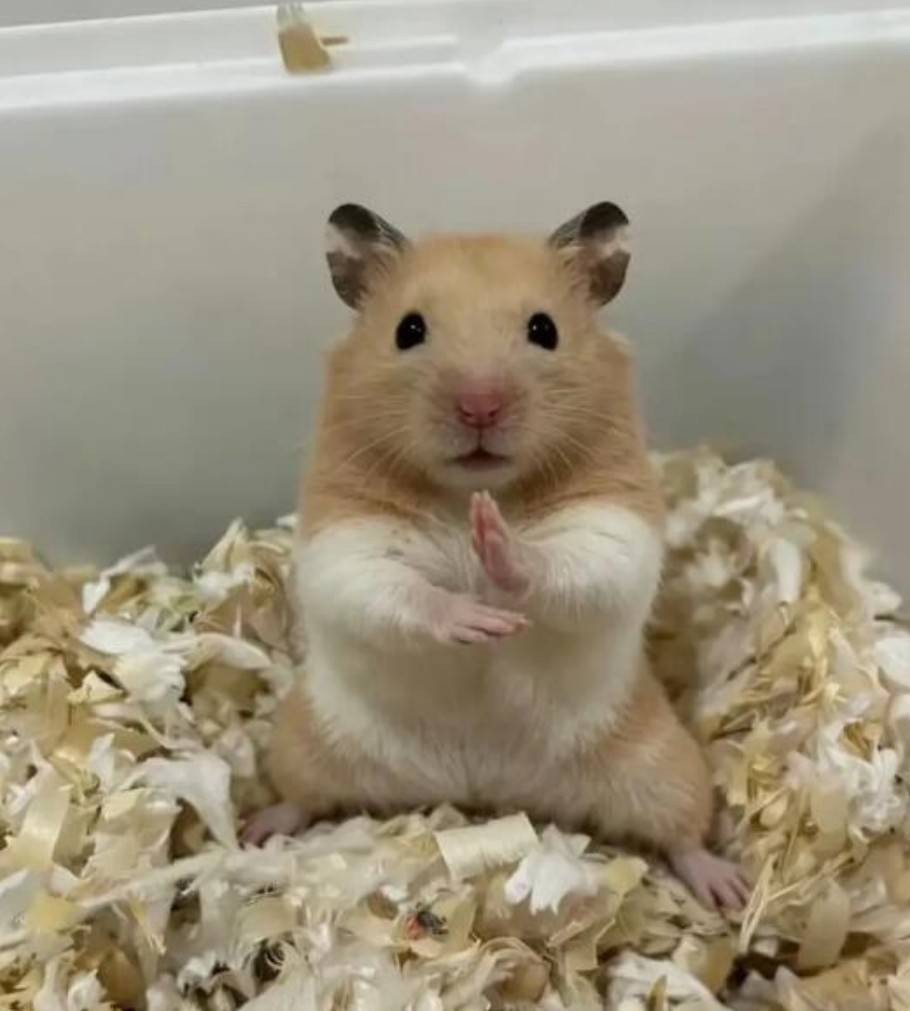 ��һ�ں���ͼ�Ʒ�ϵ�� Ů��������ʲôϷ��ô�ң�