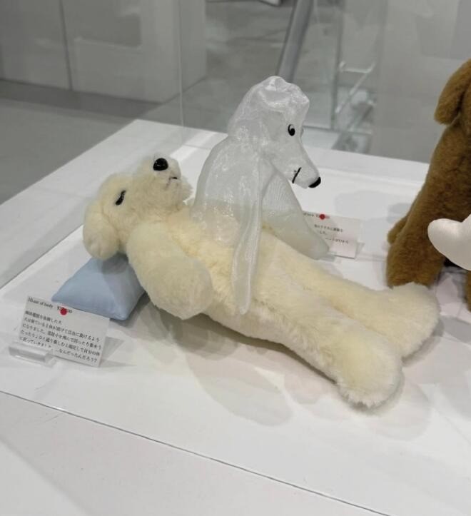 3DM����һ�̵�1640�� ���ڹۿ���Ů�������ǿֻ�