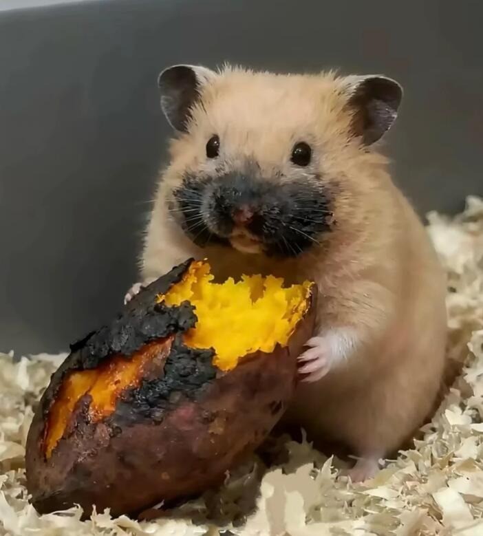 3DM����һ�̵�1640�� ���ڹۿ���Ů�������ǿֻ�