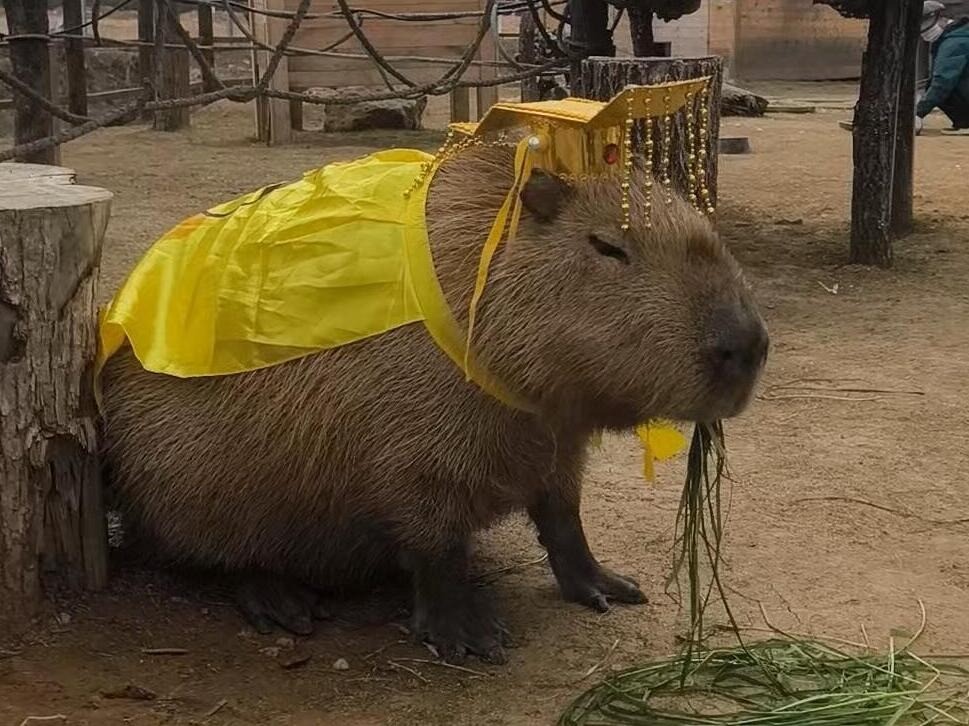 3DM����һ�̵�1640�� ���ڹۿ���Ů�������ǿֻ�