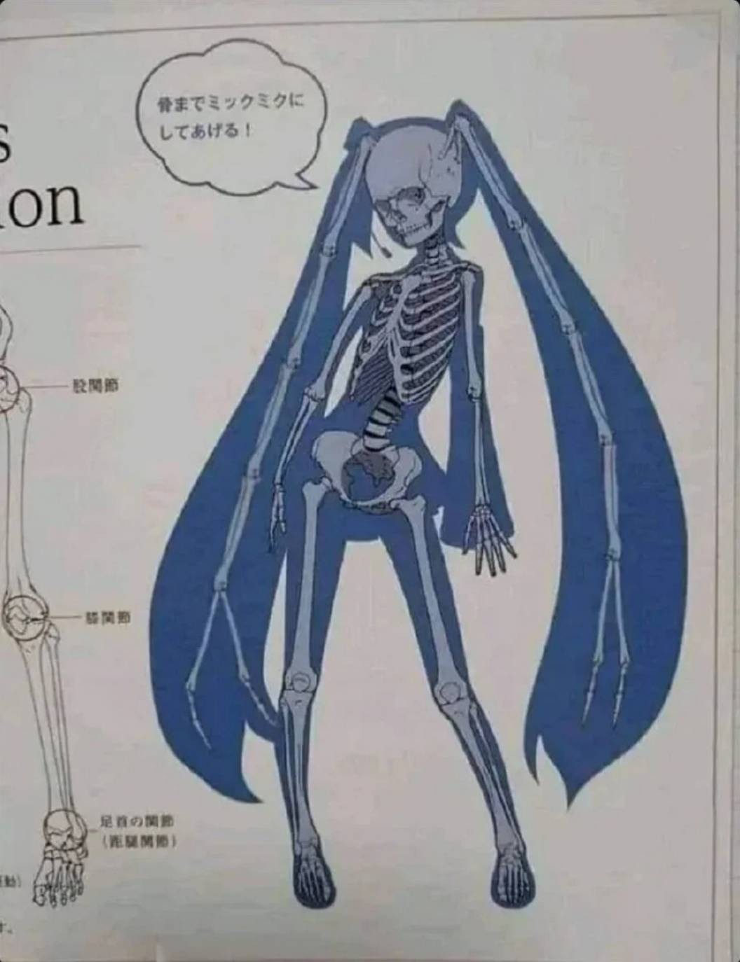 3DM����һ�̵�1640�� ���ڹۿ���Ů�������ǿֻ�