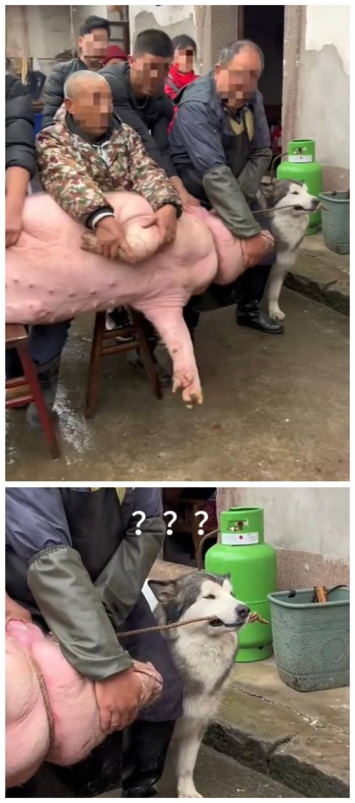 3DM轻松一刻第1641期 还有这样的舞蹈表演作回报