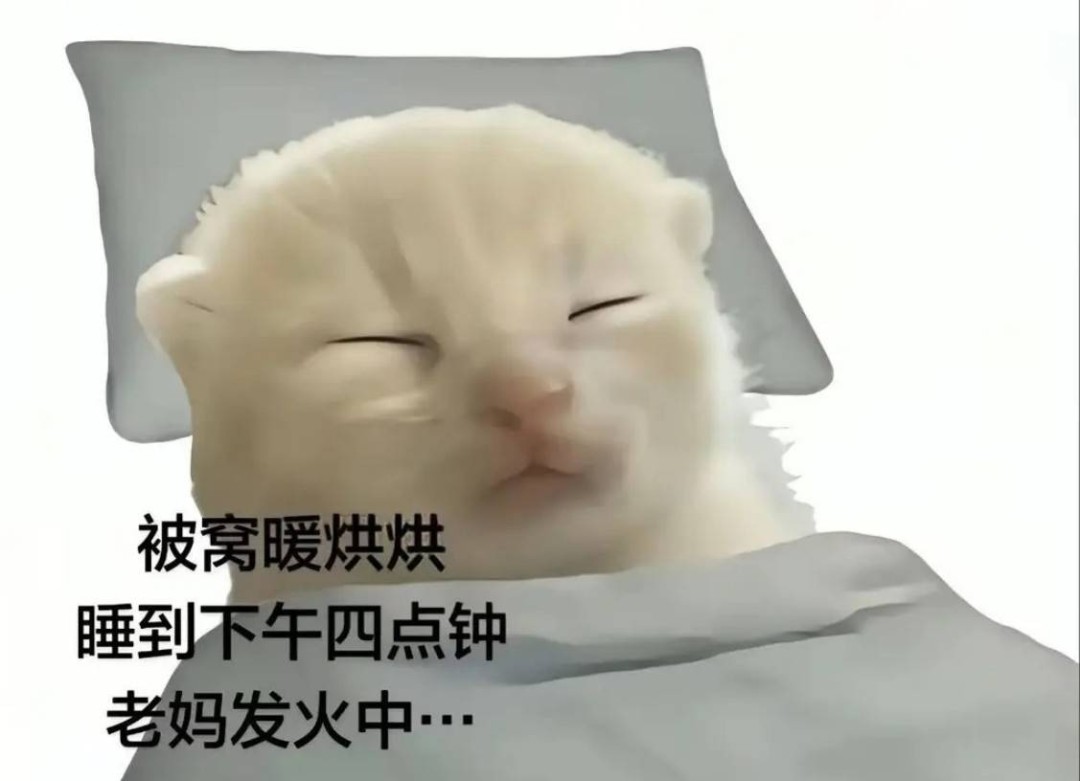 3DM����һ�̵�1641�� �����������赸�������ر�