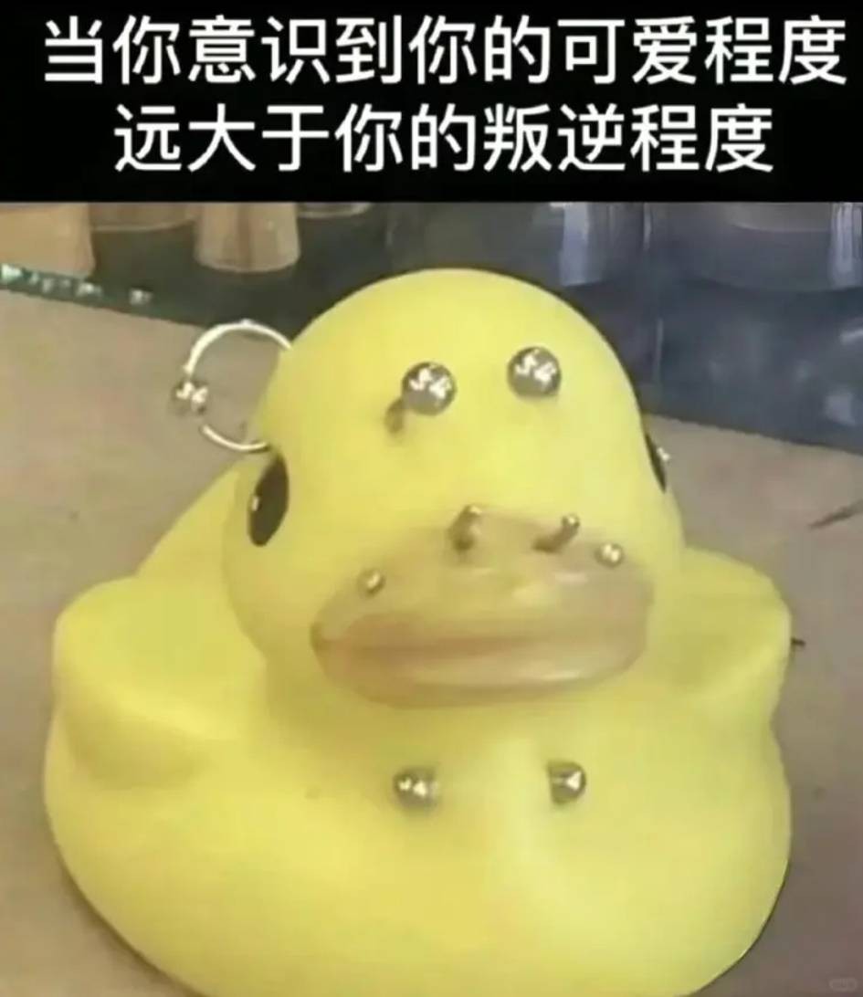 3DM����һ�̵�1642�� ��Ů��β��Ϊ�λ��Զ�����